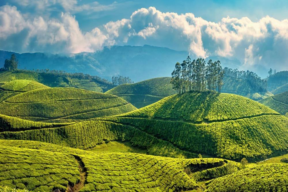 Munnar–Thekkady Scenic Retreat